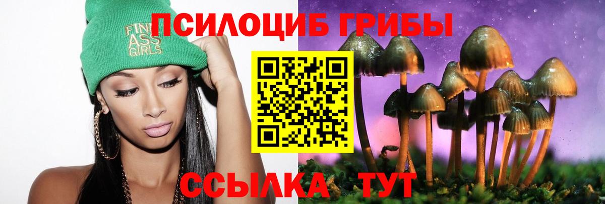 Лесозаводск  Псилоцибиновые грибы GOLDEN TEACHER  Вход с VPN 